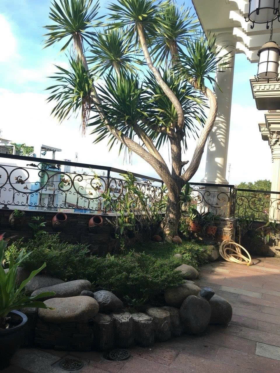 Góc Biệt thự cực đẹp 